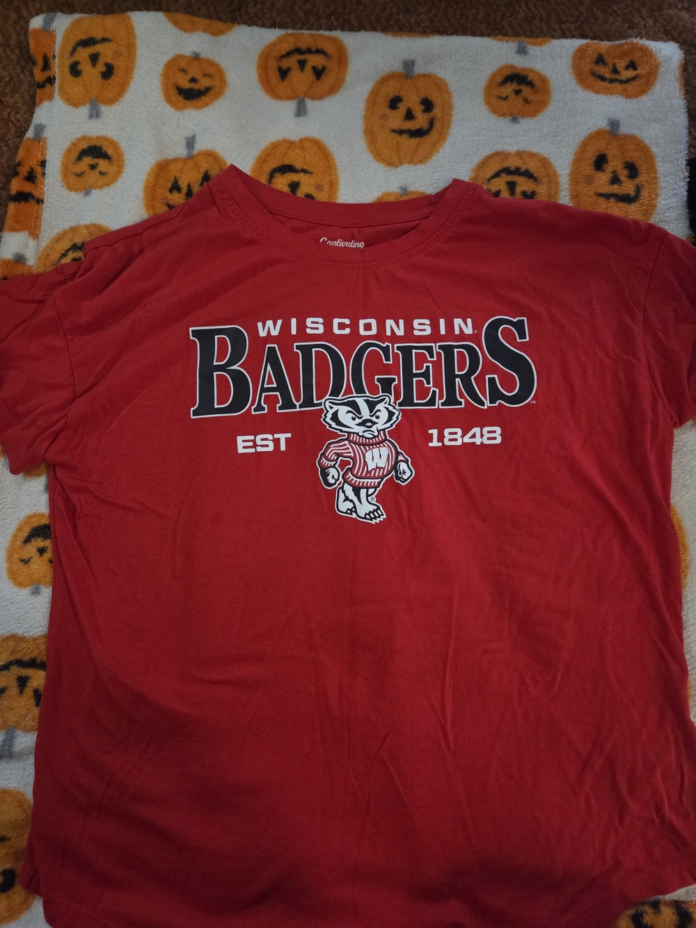 Wisconsin Badgers Red Womens Medium T-Shirt